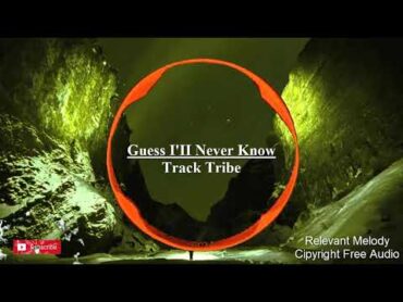 Guess I&39;ll Never Know&39; by TrackTribe&39; Unlocking the Secrets