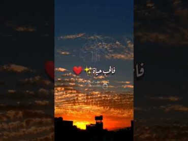 قصر بعيد / تامر عاشور ♥️🥺