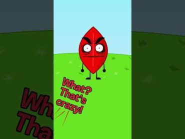 What&39;s going on inside Leafy? Football? bfdi