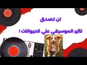 تأثير الموسيقى على الحيواناتحقائق علمية