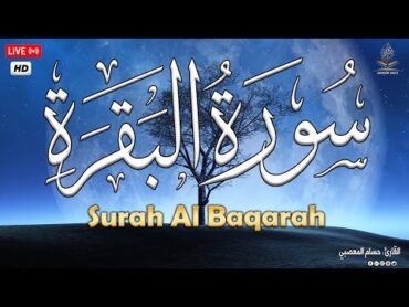 قران سورة البقرة طاردة الشياطين 💚 قران كريم بصوت جميل ومريح جدا 💚 تلاوة هادئة للنوم والراحة النفسية😴