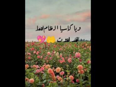 دعاء يشرح القلب للشيخ فارس عباد ❤️